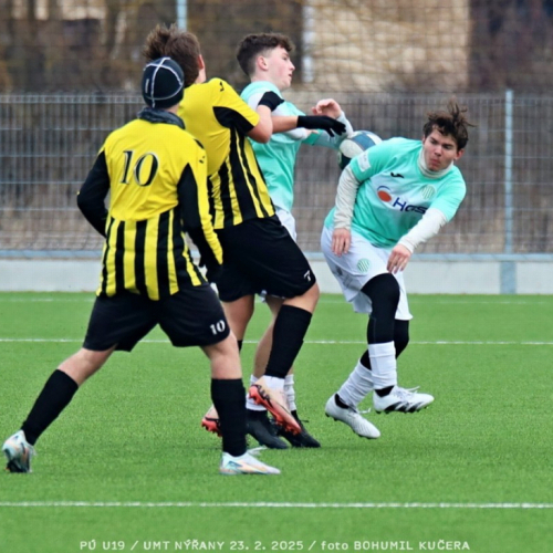 nyrany-sh19 (73).jpg