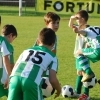 Ppripravka_zari