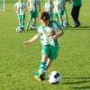 Ppripravka_zari