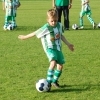 Ppripravka_zari