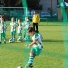 Ppripravka_zari