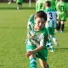 Ppripravka_zari