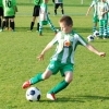 Ppripravka_zari