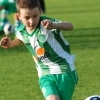 Ppripravka_zari