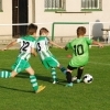 Ppripravka_zari