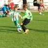 Ppripravka_zari