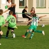 Ppripravka_zari