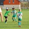 Ppripravka_zari