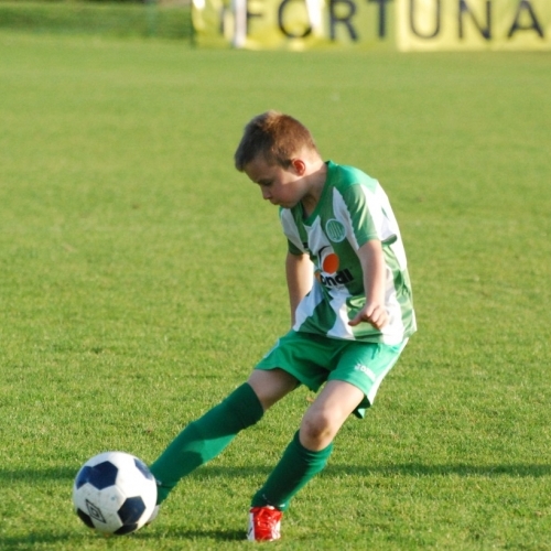 Ppripravka_zari