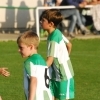 Ppripravka_zari