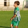 Ppripravka_zari