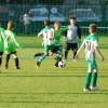 Ppripravka_zari