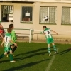 Ppripravka_zari