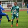 č.lípa-hostouň (14).jpg