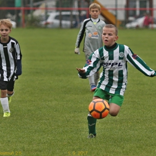 55_bustehrad_hostoun2_5_20170901boh.jpg