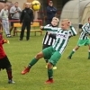 68_bustehrad_hostoun2_5_20170901boh.jpg