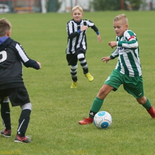 74_bustehrad_hostoun2_5_20170901boh.jpg