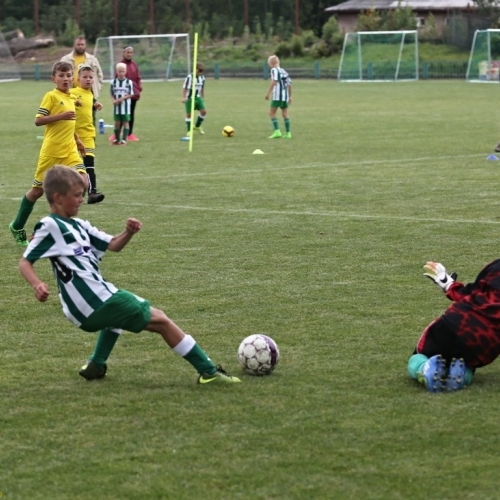 17_krocehlavy_hostoun4_9sp_20170903boh.jpg