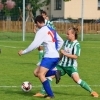 hostouň-družec (9).jpg