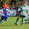 hostouň-družec (0).jpg