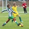 15_hostoun_krocehlavy7_1_20170916boh.jpg
