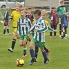 21_hostoun_krocehlavy7_1_20170916boh.jpg
