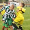 10_hostoun_krocehlavy7_1_20170916boh.jpg