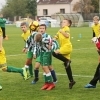 9_hostoun_krocehlavy7_1_20170916boh.jpg