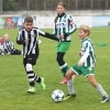 19_hostoun_bustehrad11_1_20170916boh.jpg