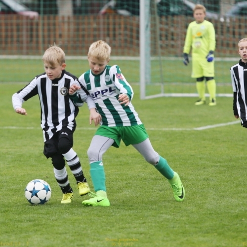 17_hostoun_bustehrad11_1_20170916boh.jpg
