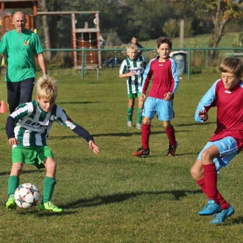 7_stehelceves_hostoun8_9_20170930boh.jpg