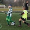Hostouň - Bohnice 19:3