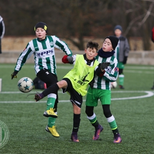 Hostouň - Bohnice 19:3