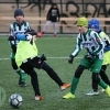 Hostouň - Bohnice 19:3