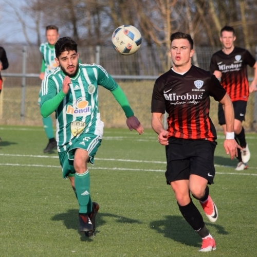 hostouň - č.lípa (19).jpg