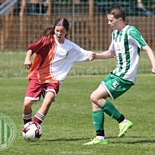 Hostouň-Zichovec 7:1 U13 