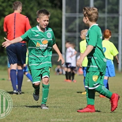 TEPO 2018 - U11 Hostouň