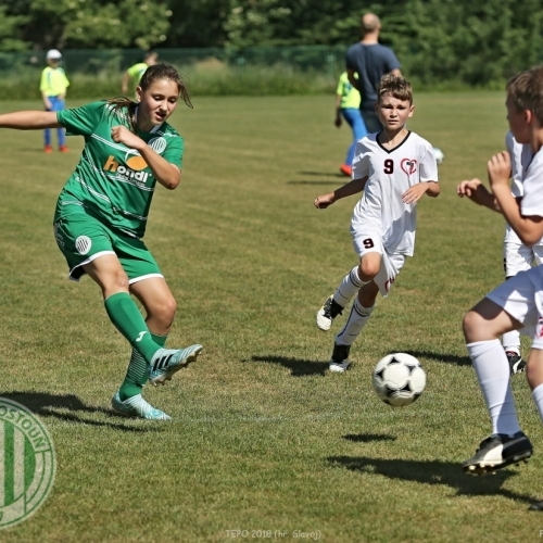 TEPO 2018 - U11 Hostouň