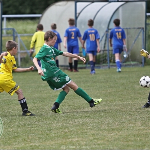 TEPO 2018 - U11 Hostouň
