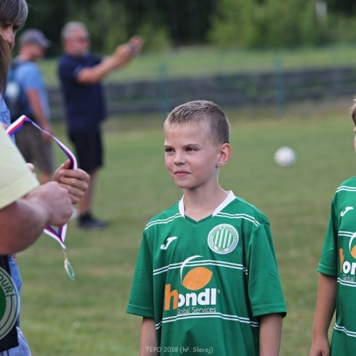 TEPO 2018 - U11 Hostouň