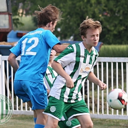 Lidický pohár 2018 (U15)