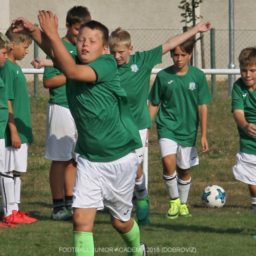 FJA 2018 Dobrovíz