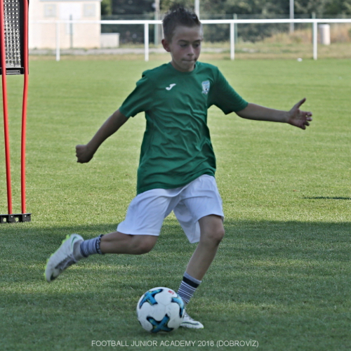 FJA 2018 Dobrovíz