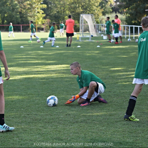 FJA 2018 Dobrovíz