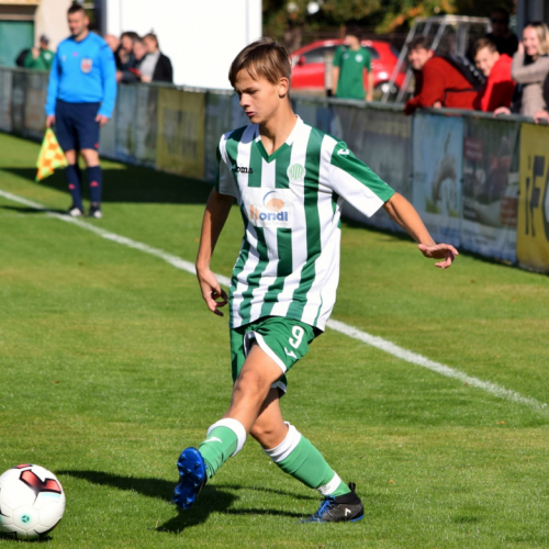 hostouň - č.újezd (5).jpg