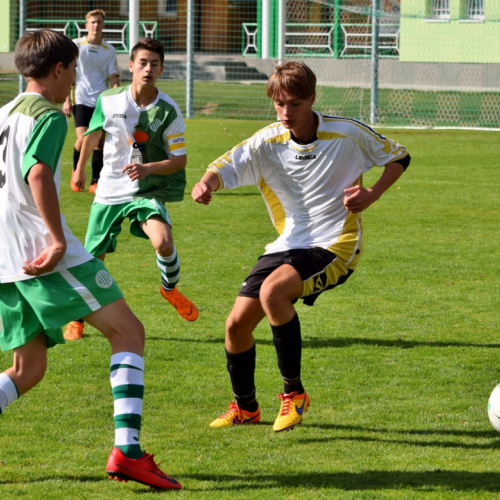 hostouň - č.újezd (8).jpg