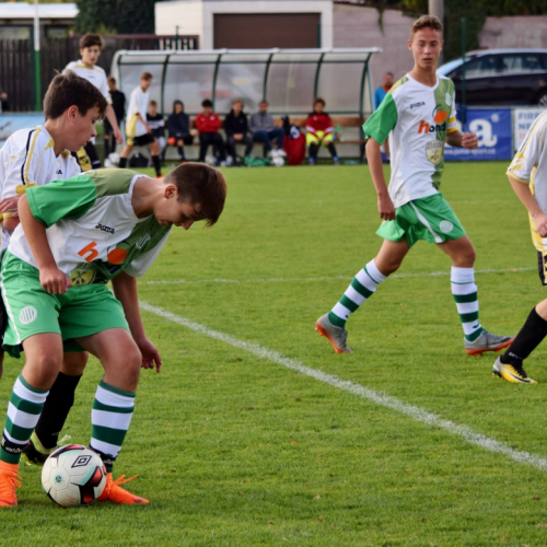 hostouň - č.újezd (0).jpg