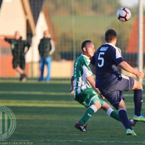 Hostouň B - Družec