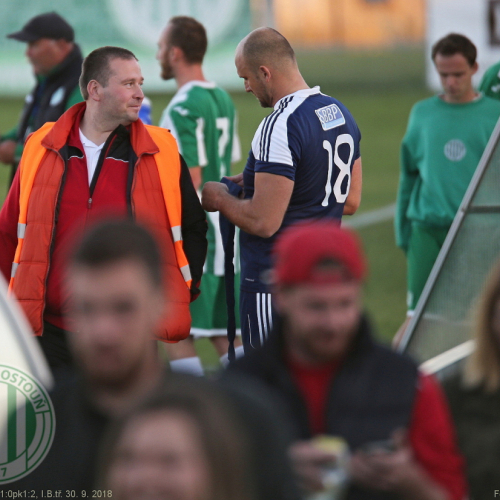 Hostouň B - Družec