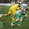 Hostouň B - Rakovník B